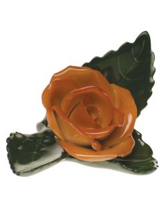 ROSE ON LEAF RUST