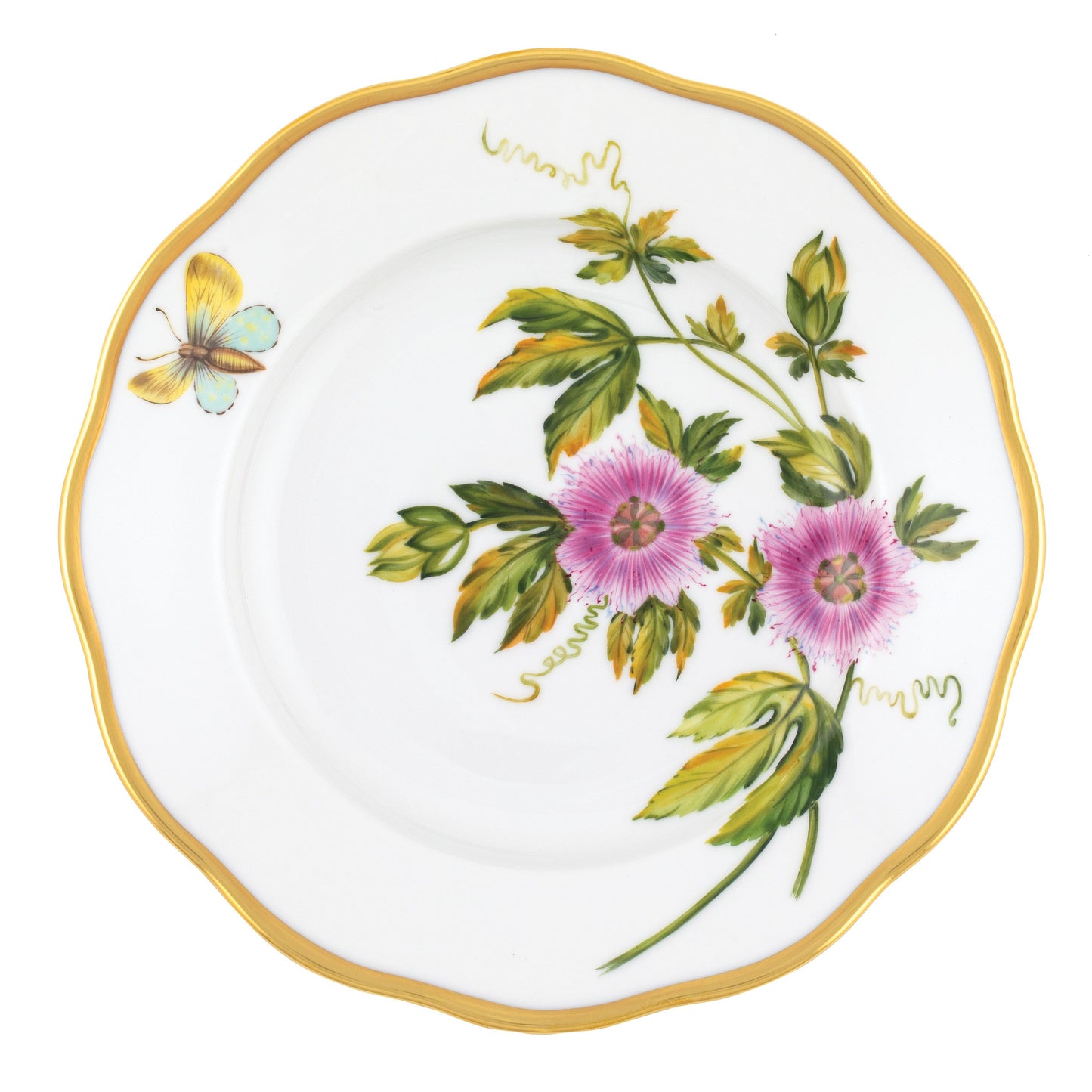 AMERICAN WILDFLOWER PASSION FLOWER SALAD
