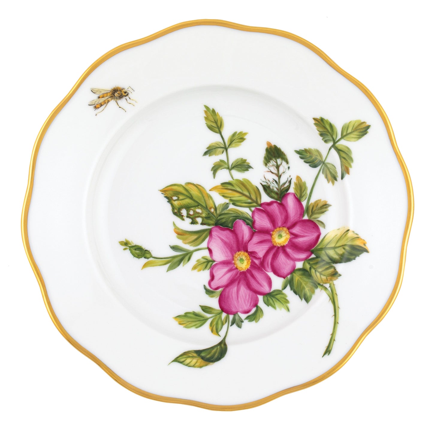 AMERICAN WILDFLOWER PRARIE ROSE SALAD