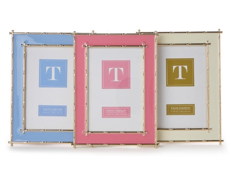 GOLD BAMBOO 4X 6 FRAME ASST.COLORS