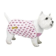 WEST HIGHLAND TERRIER RASP