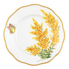AMERICAN WILDFLOWER TALL GOLDENROD SALAD