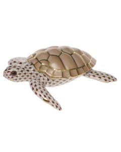 LOGGERHEAD TURTLE CHOCOLATE