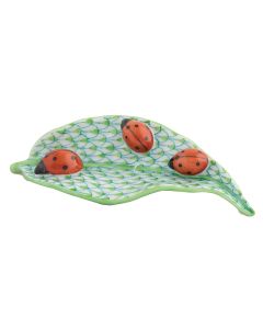 LADYBUGS ON LEAF