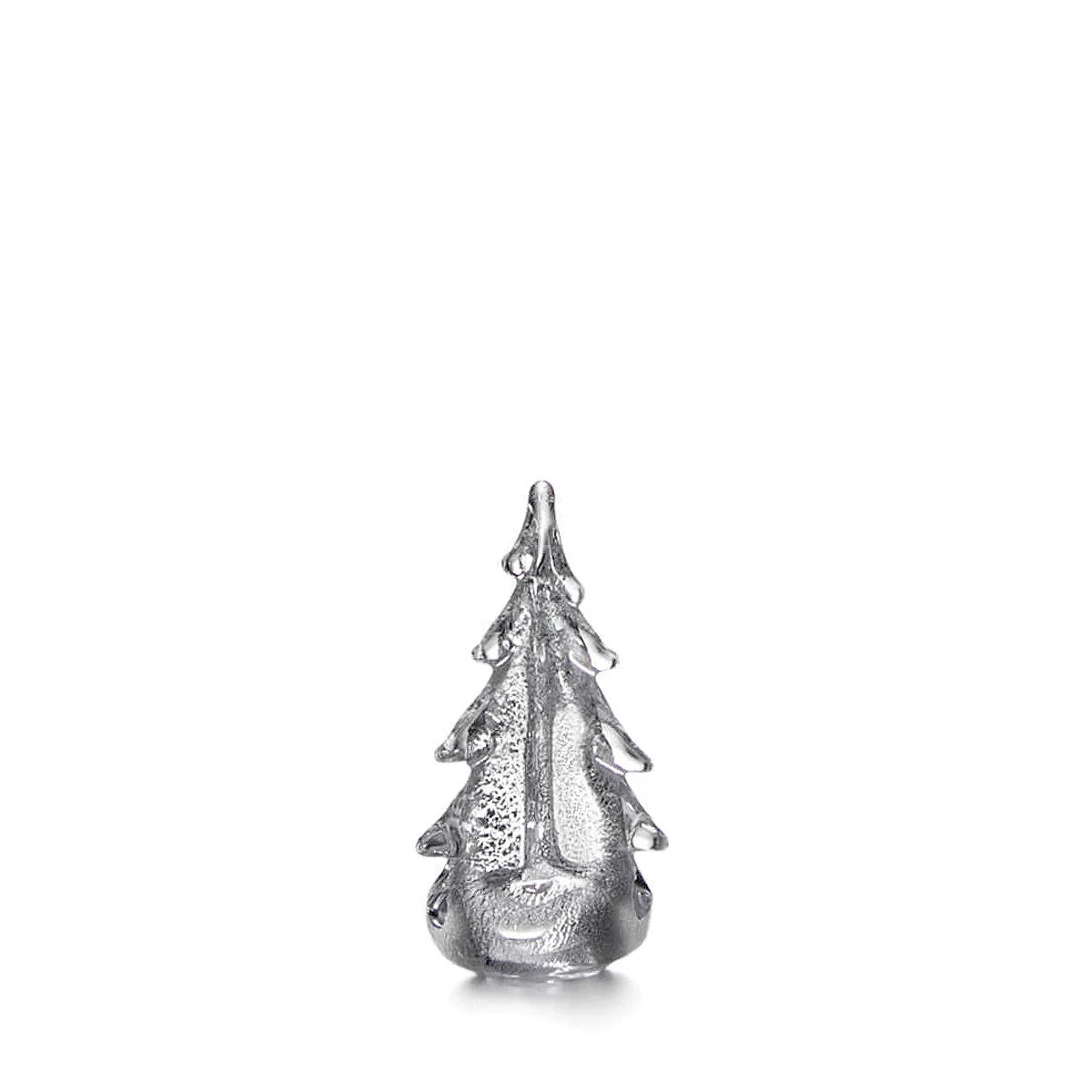 SILVER LEAF EVERGREEN 6"