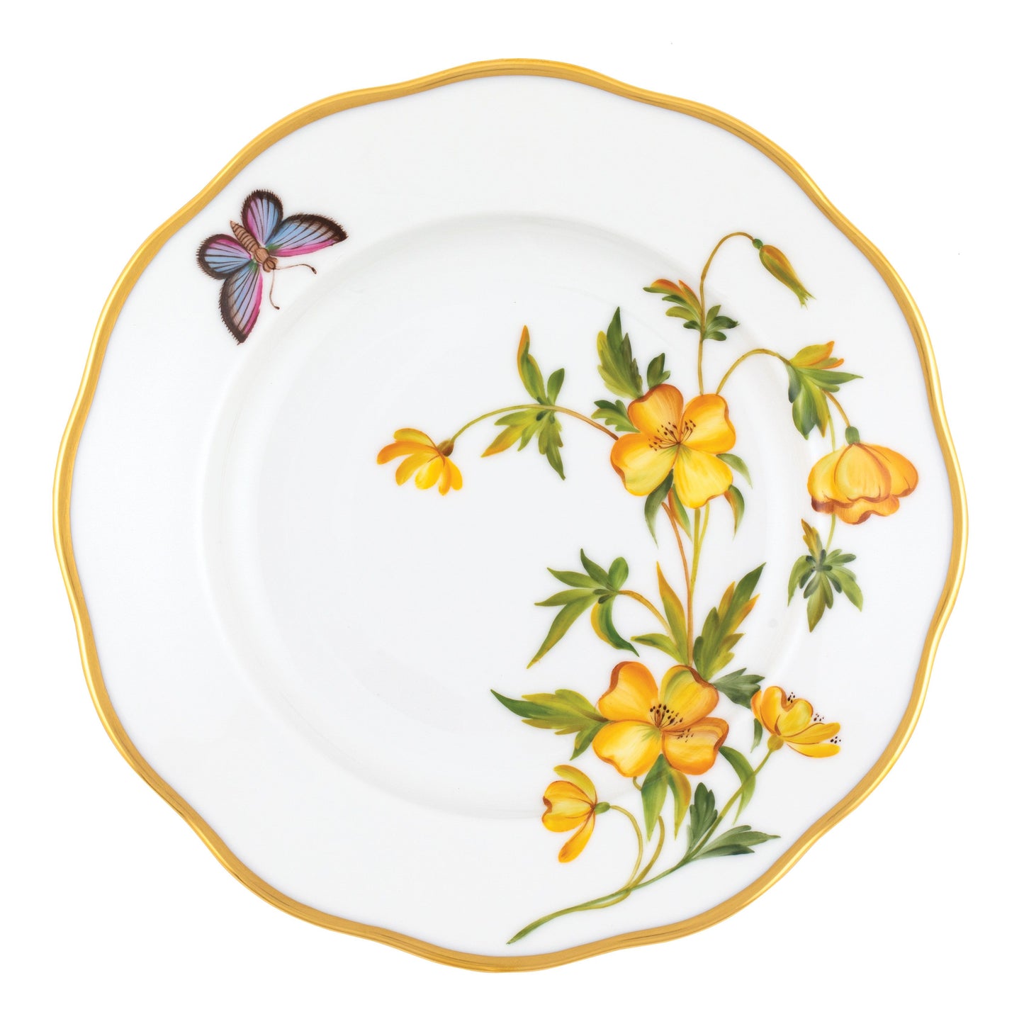AMERICAN WILDFLOWER EVENING PRIMROSE SALAD