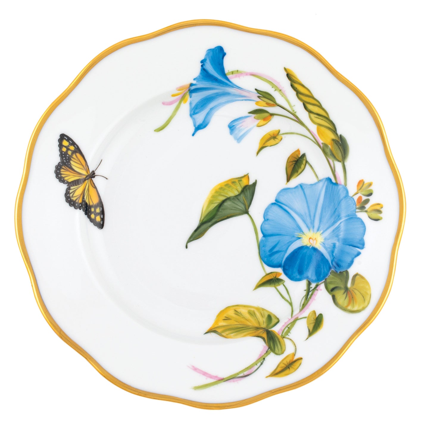 AMERICAN WILDFLOWER MORNING GLORY SALAD