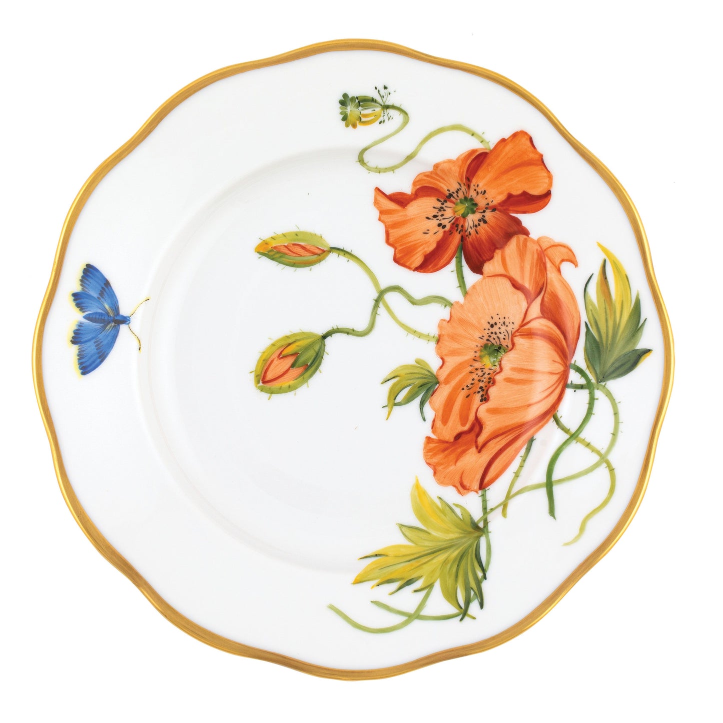 AMERICAN WILDFLOWER CALIFORNIA POPPY SALAD
