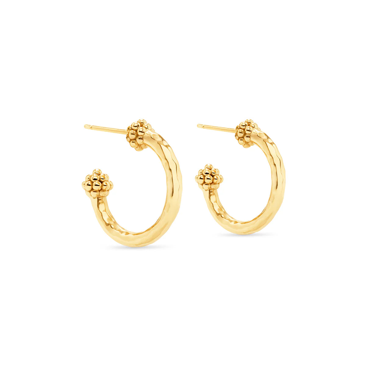 EARRING BERRY SLICE SM. HOOP