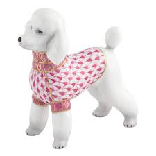 TOY POODLE RASPBERRY