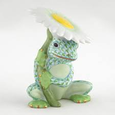 FROG FLOWER KEY LIME